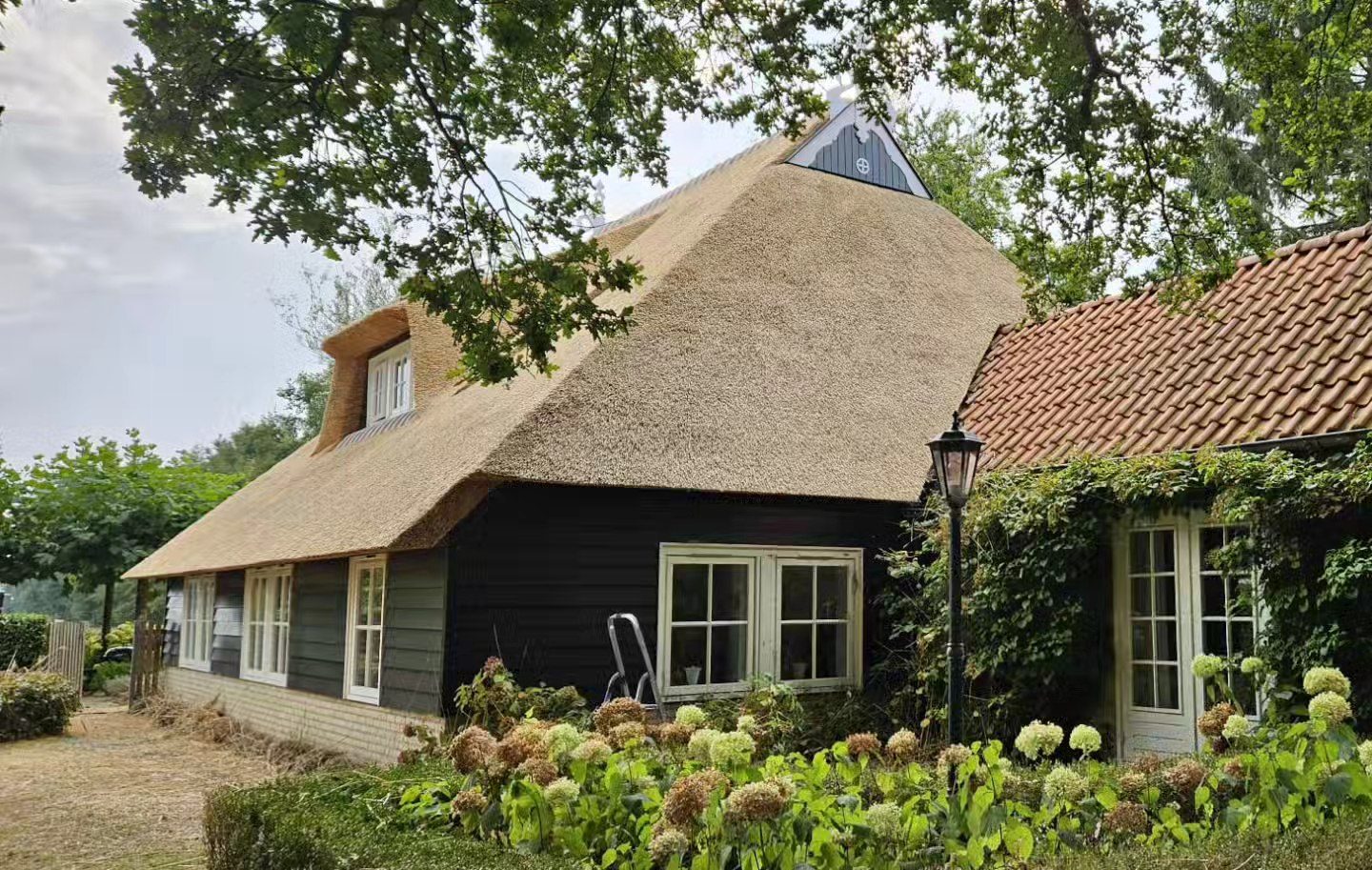 Mooi afgewerkt rieten dak