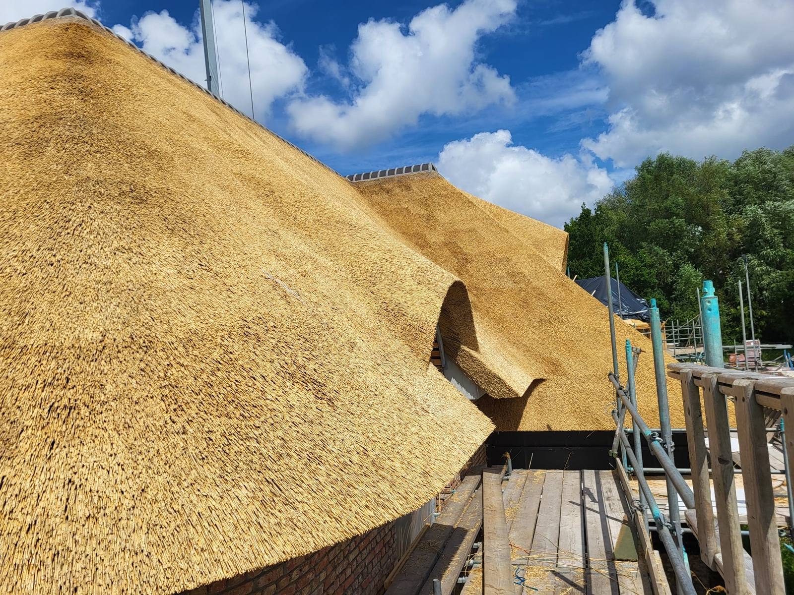 Select Reed: opslag eersteklas dakriet